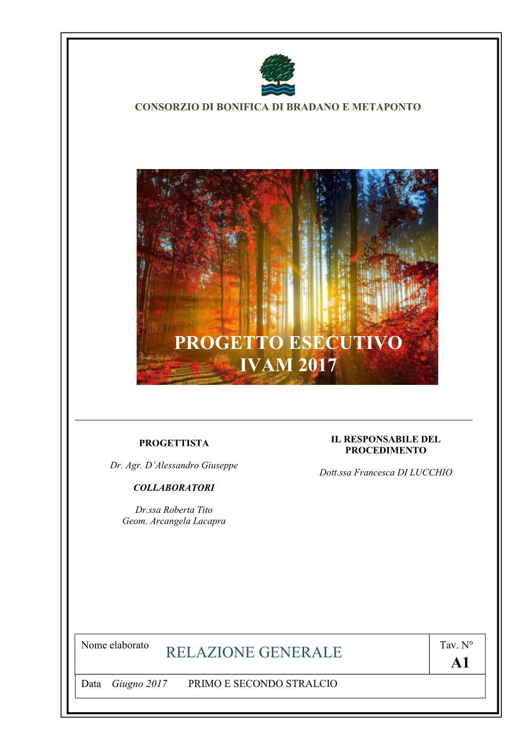 Progetto Esecutivo Ivam 2017