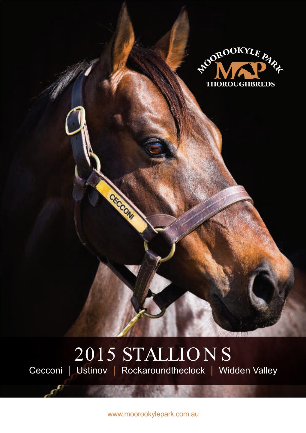 2015 STALLIONS Cecconi | Ustinov | Rockaroundtheclock | Widden Valley