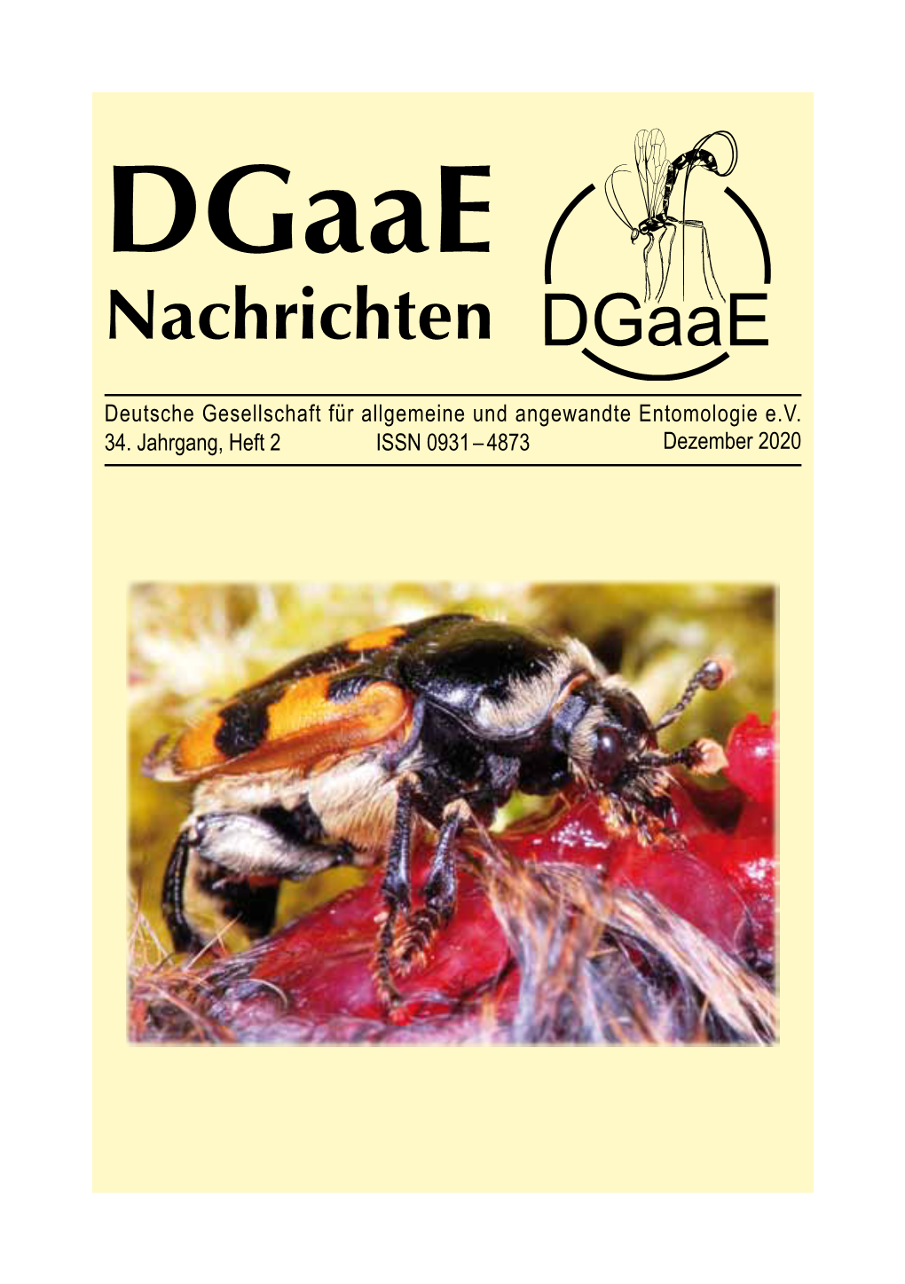 Dgaae Nachrichten