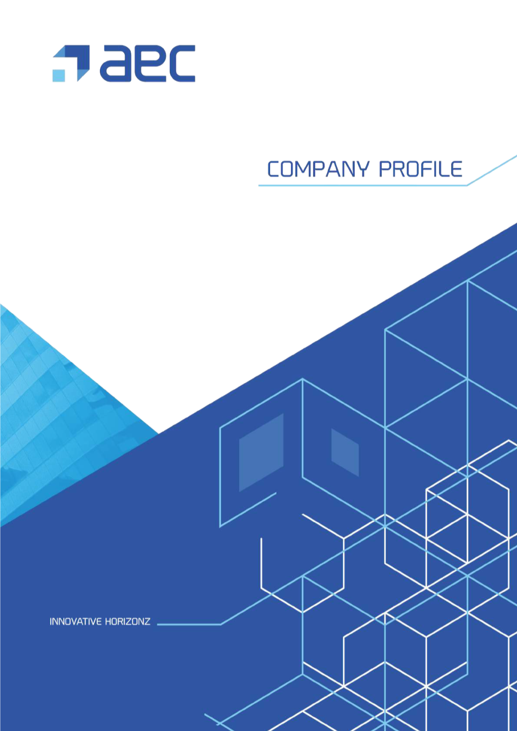 Company Profile | 1 Preface