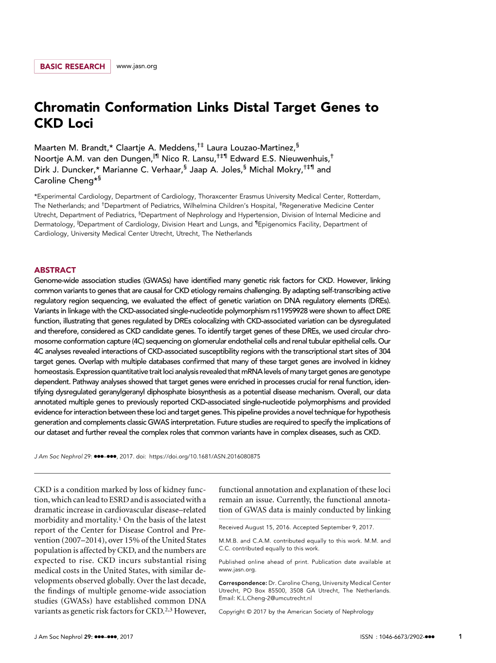 Chromatin Conformation Links Distal Target Genes to CKD Loci
