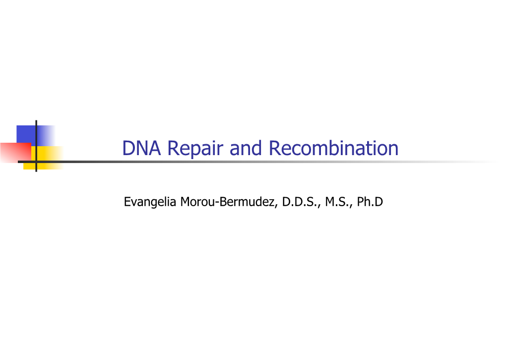 DNA Repair and Recombination