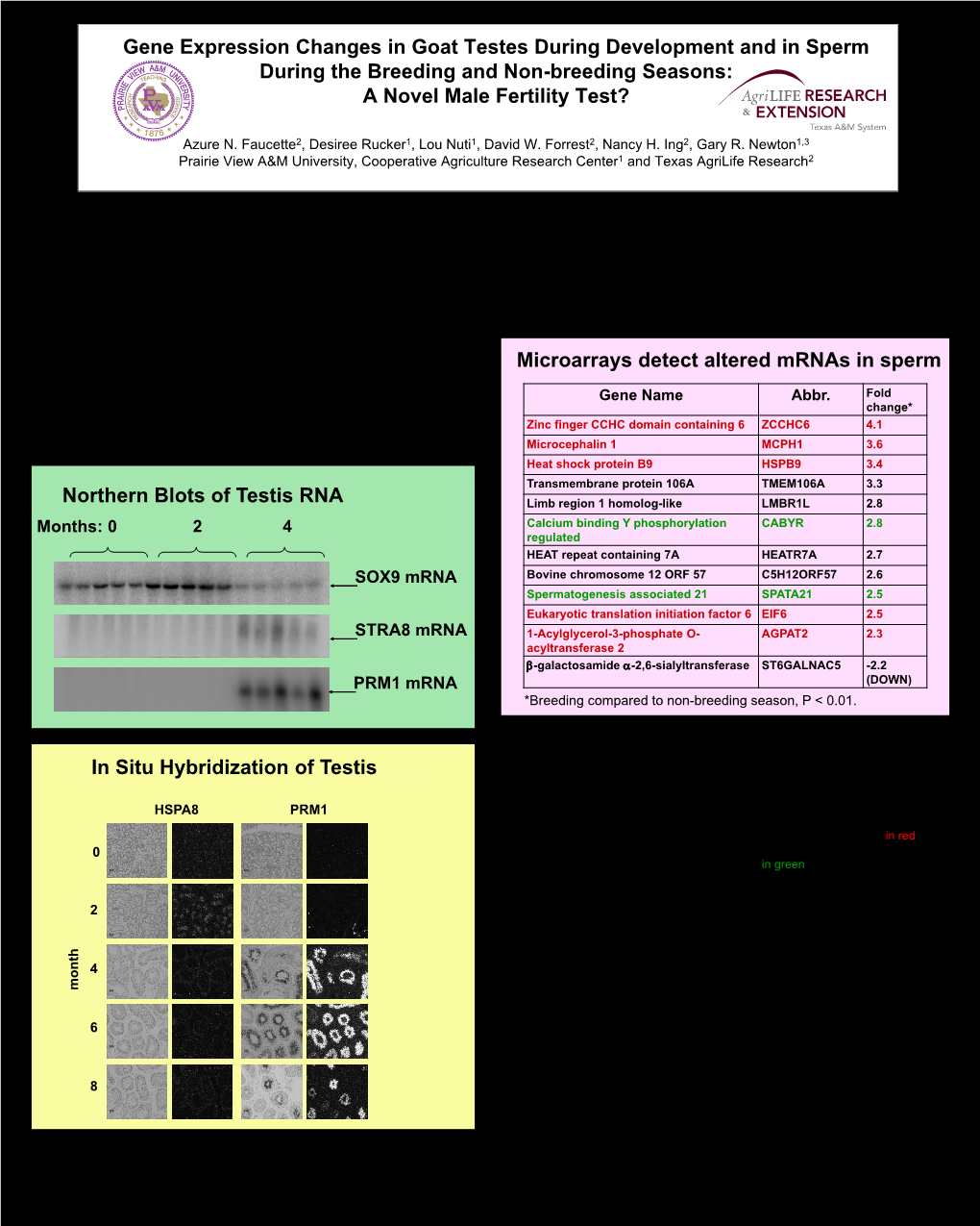 Gene Expression Changes in Goat Testes During Development and in Sperm During the Breeding and Non-Breeding Seasons: a Novel Male Fertility Test?