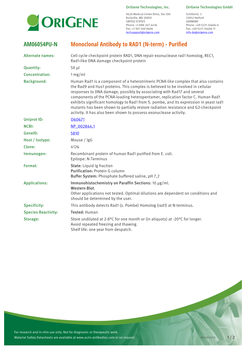 Monoclonal Antibody to RAD1 (N-Term) - Purified