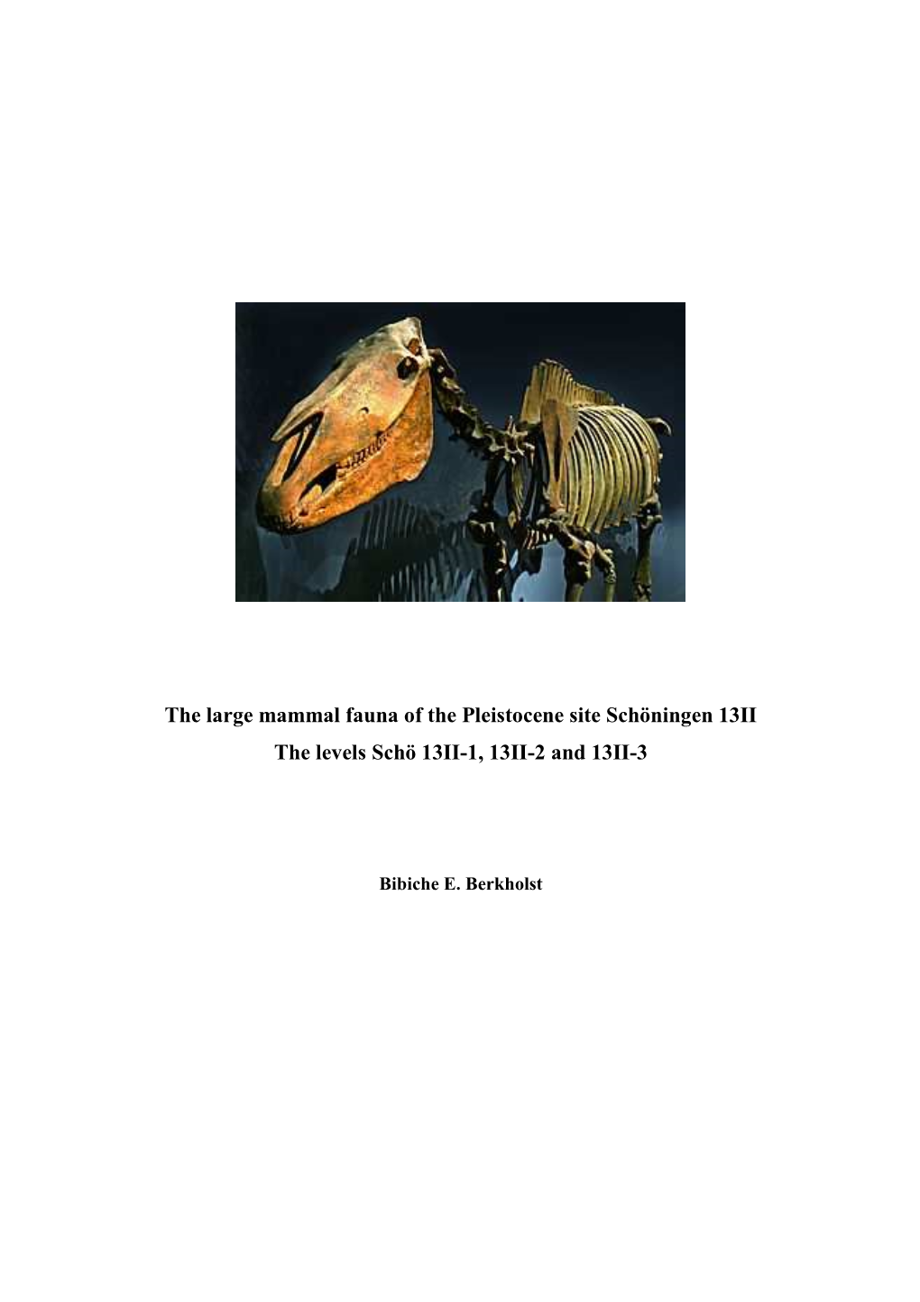 The Large Mammal Fauna of the Palaeolithic Site Schöningen 13II