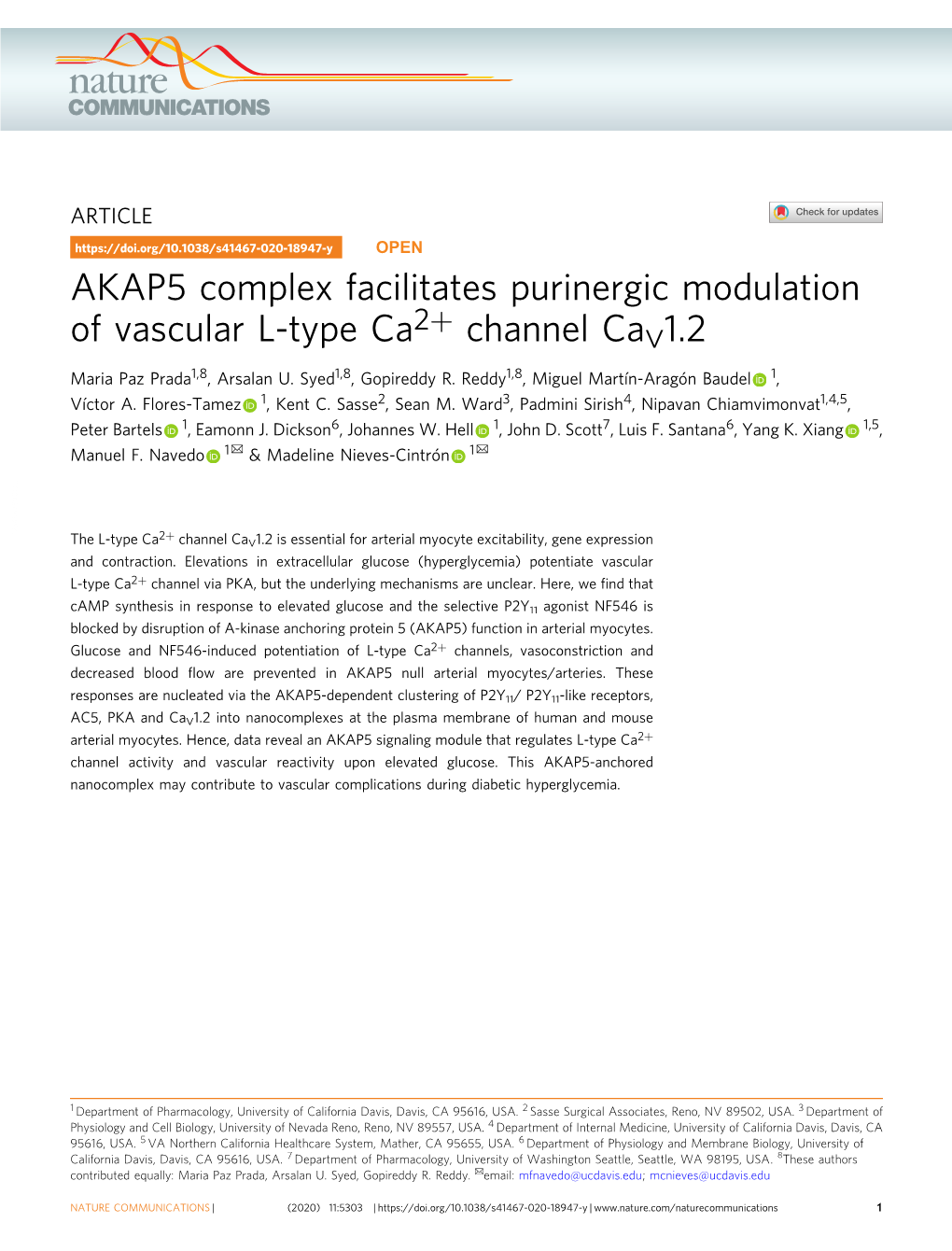 AKAP5 Complex Facilitates Purinergic Modulation Of