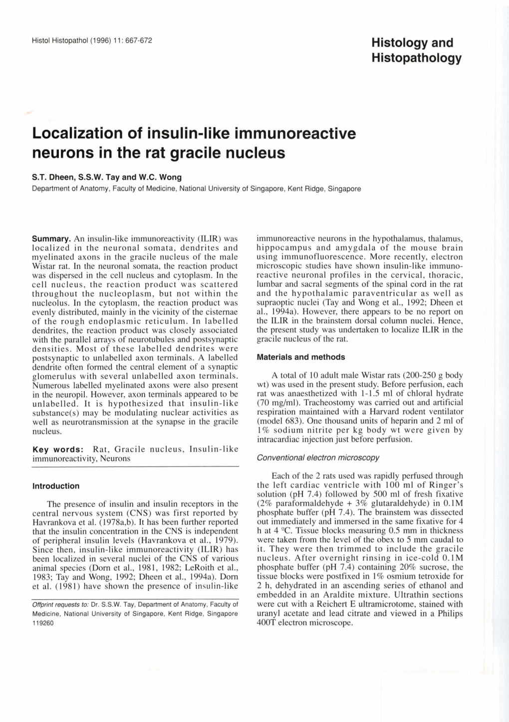 Localization of Insulin-Like Immunoreactive Neurons in the Rat Gracile Nucleus