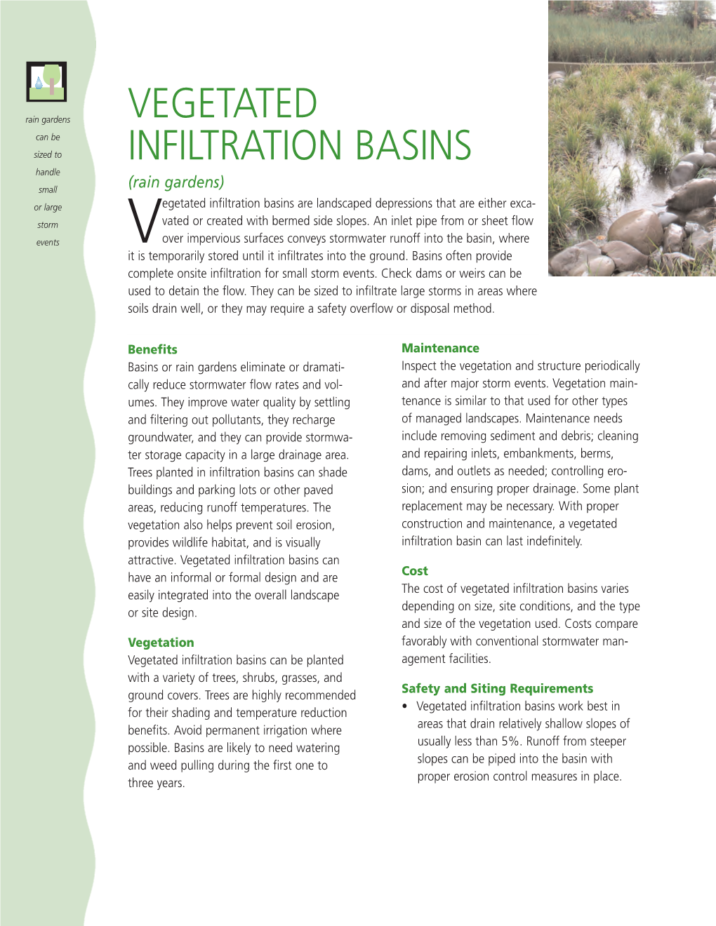 Vegetated Infiltration Basins