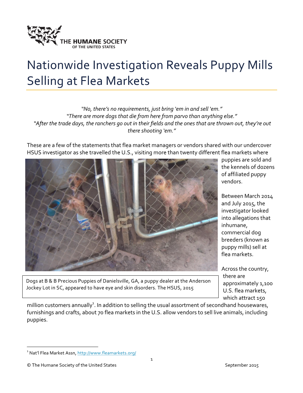 Nationwide Investigation Reveals Puppy Mills Selling at Flea Markets