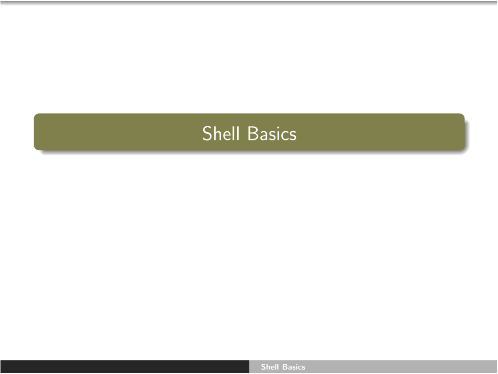 Shell Basics