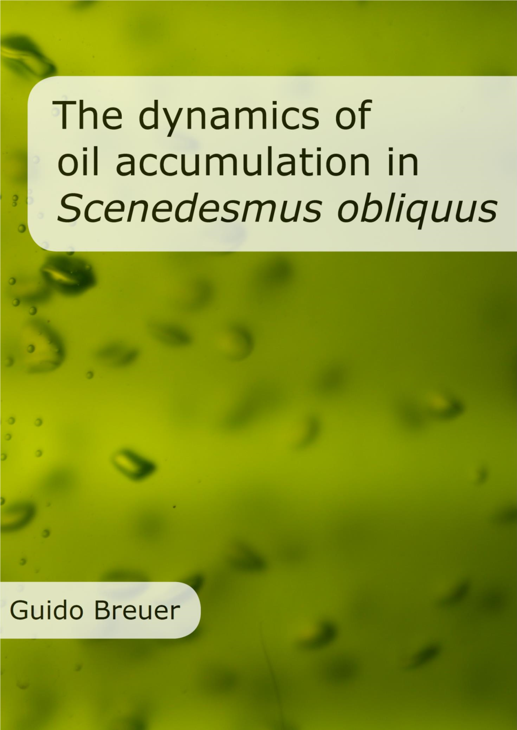 Scenedesmus Obliquus