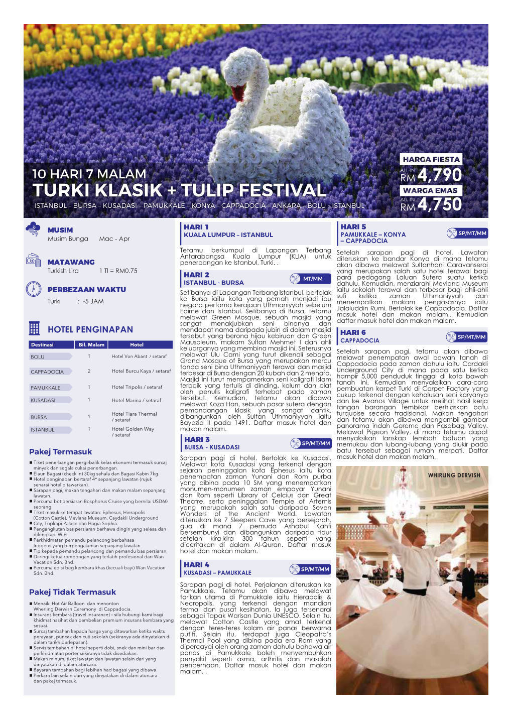 Turki Klasik+TULIP