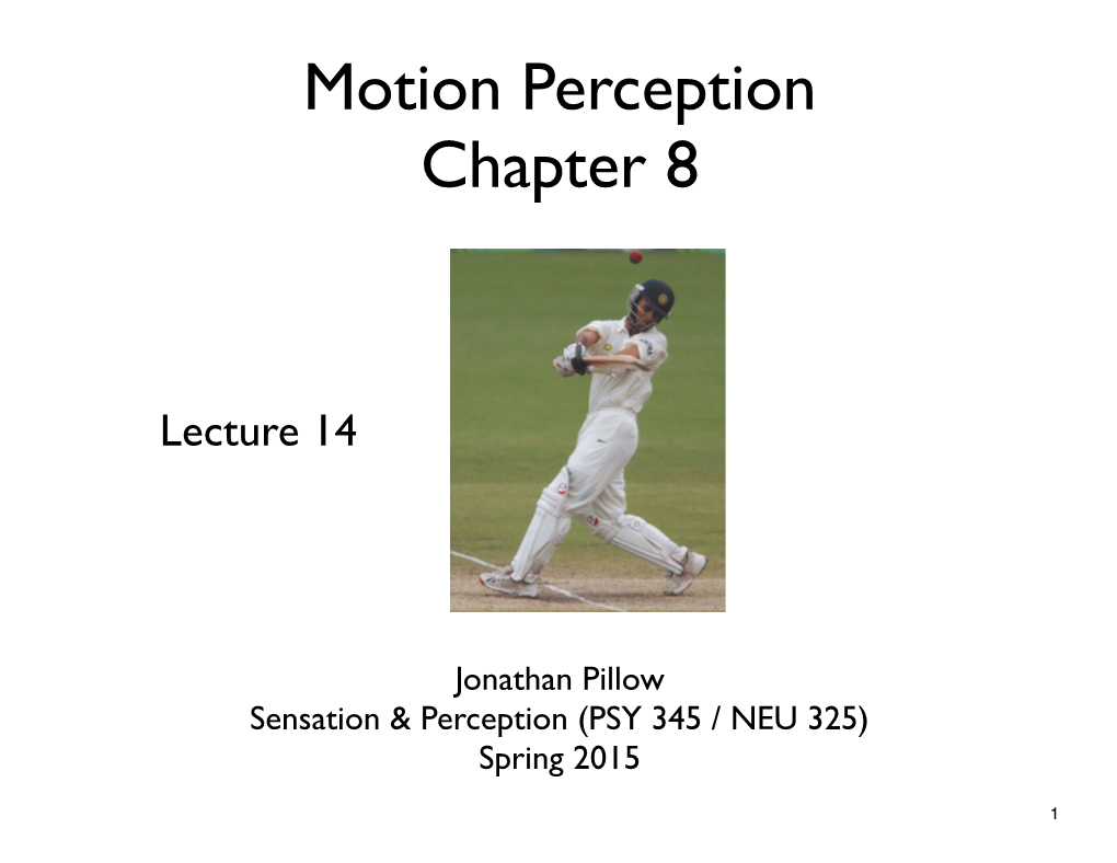 Motion Perception Chapter 8