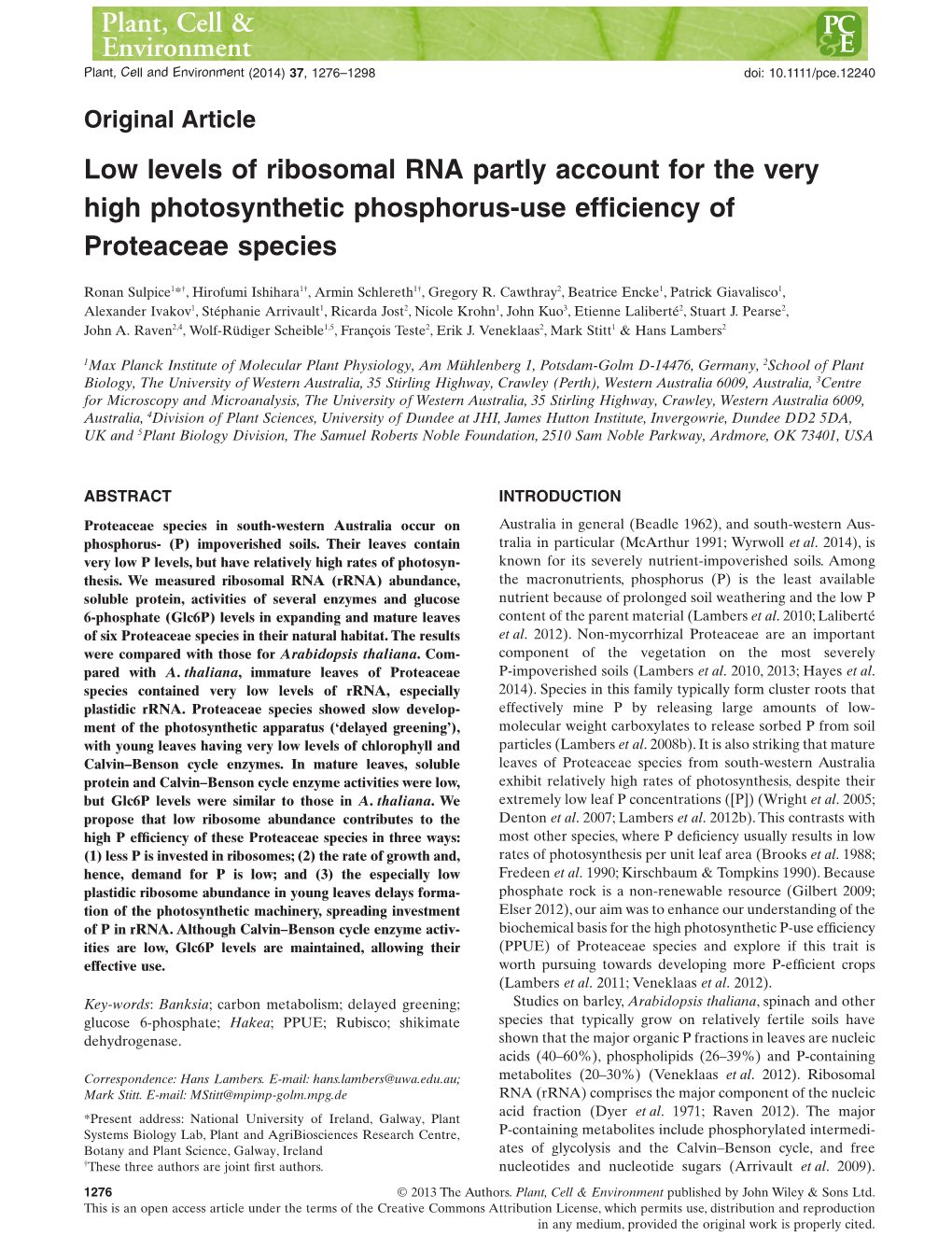 Low Levels of Ribosomal RNA Partly Account for the Very High Photosynthetic Phosphorus-Use Efficiency of Proteaceae Species