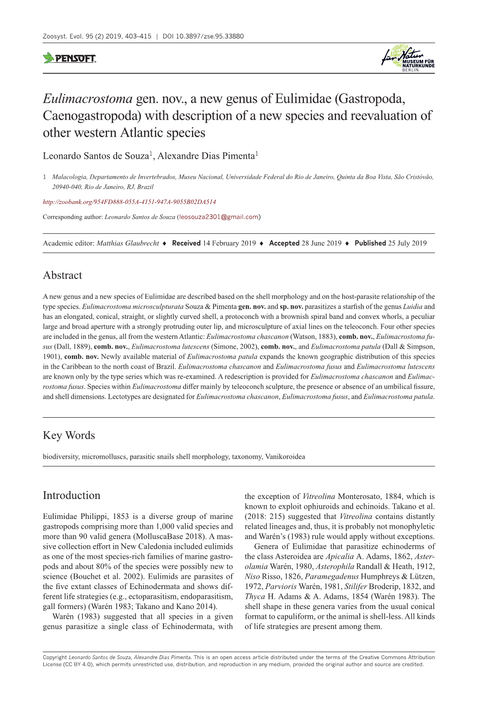 ﻿Eulimacrostoma Gen. Nov., a New Genus Of