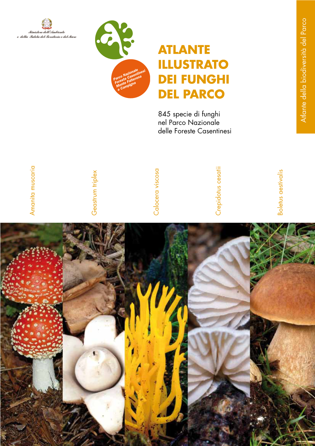 Atlante Illustrato Dei Funghi Del Parco