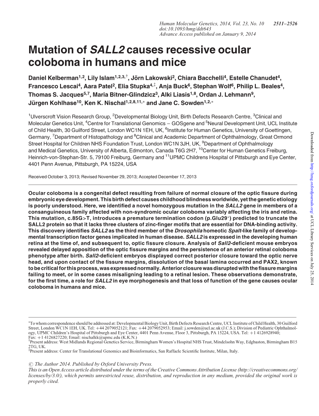 Mutation of SALL2 Causes Recessive Ocular Coloboma in Humans and Mice