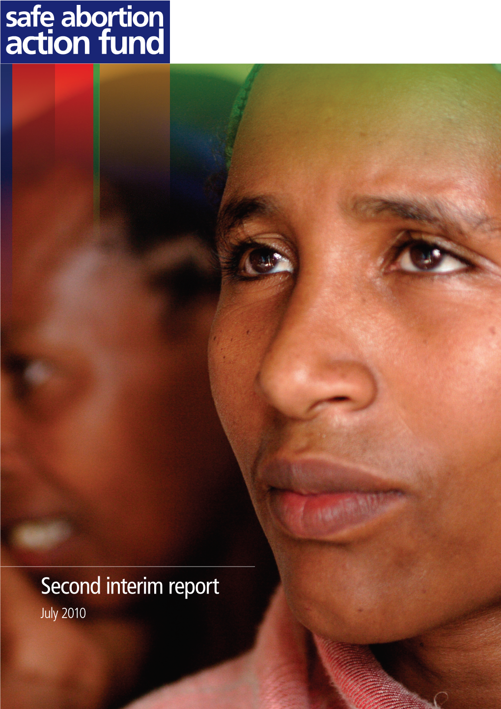 Second Interim Report July 2010 Contents