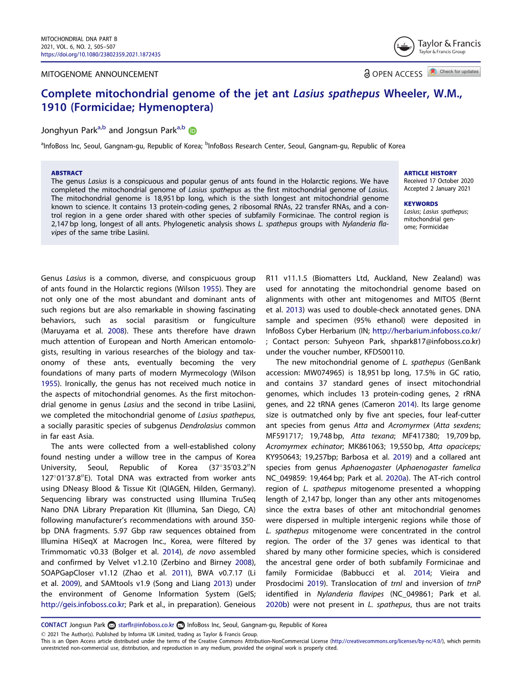 Complete Mitochondrial Genome of the Jet Ant Lasius Spathepus Wheeler, W.M., 1910 (Formicidae; Hymenoptera)