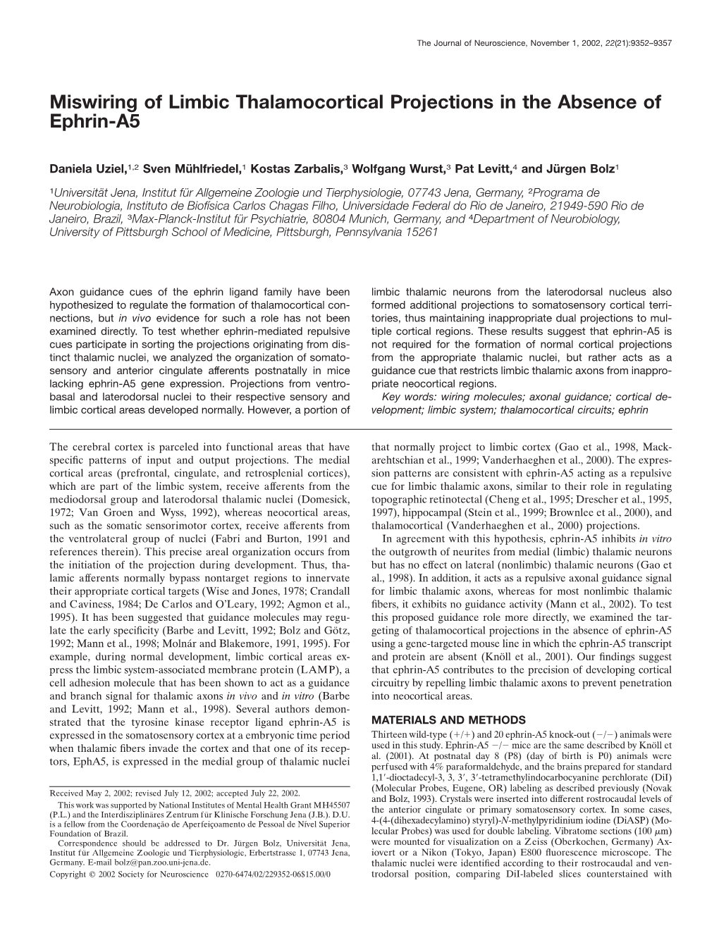 Miswiring of Limbic Thalamocortical Projections in the Absence of Ephrin-A5