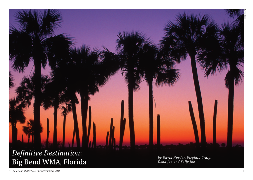 Definitive Destination: Big Bend WMA, Florida