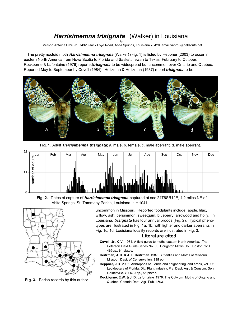 Harrisimemna Trisignata (Walker) in Louisiana by Vernon Antoine Brou Jr., 74320 Jack Loyd Road, Abita Springs, Louisiana 70420 Email Vabrou@Bellsouth.Net