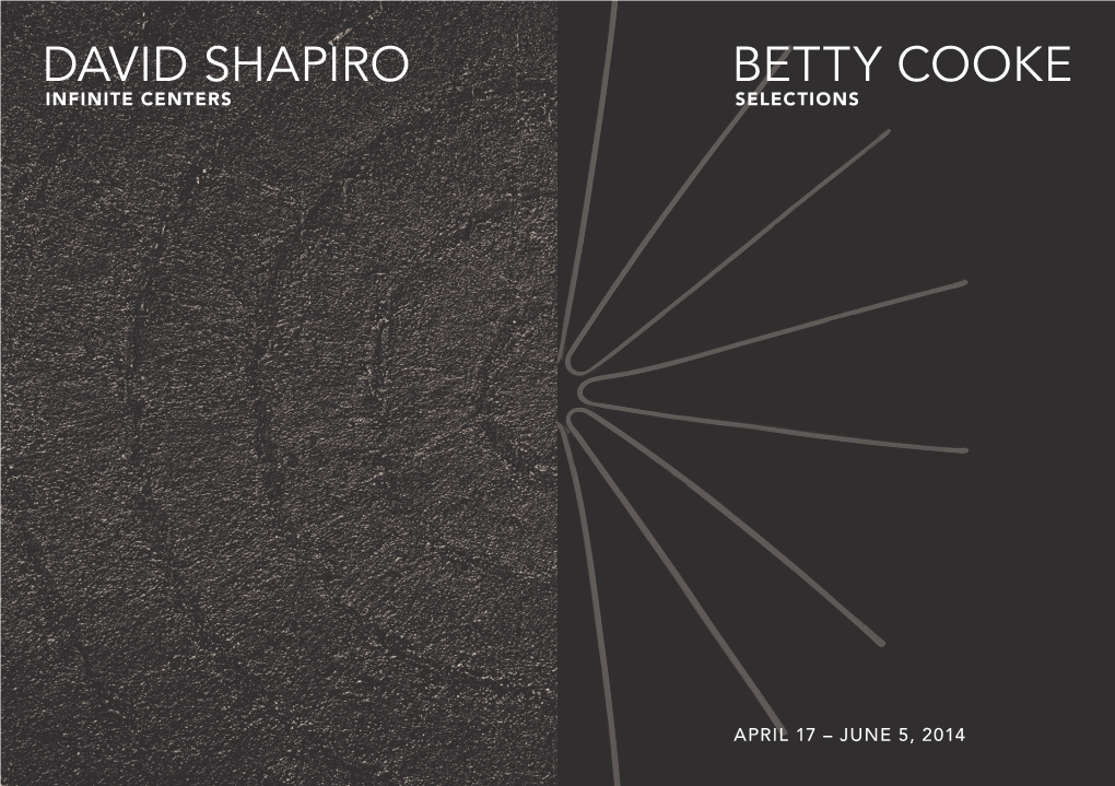 DAVID SHAPIRO BETTY COOKE Infinite Centers SELECTIONS