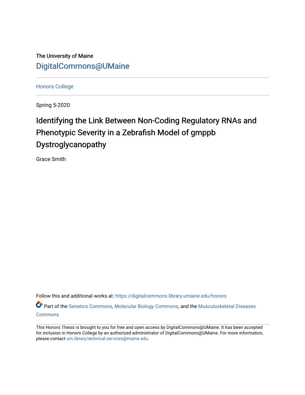 Identifying the Link Between Non-Coding Regulatory Rnas and Phenotypic Severity in a Zebrafish Model of Gmppb Dystroglycanopathy