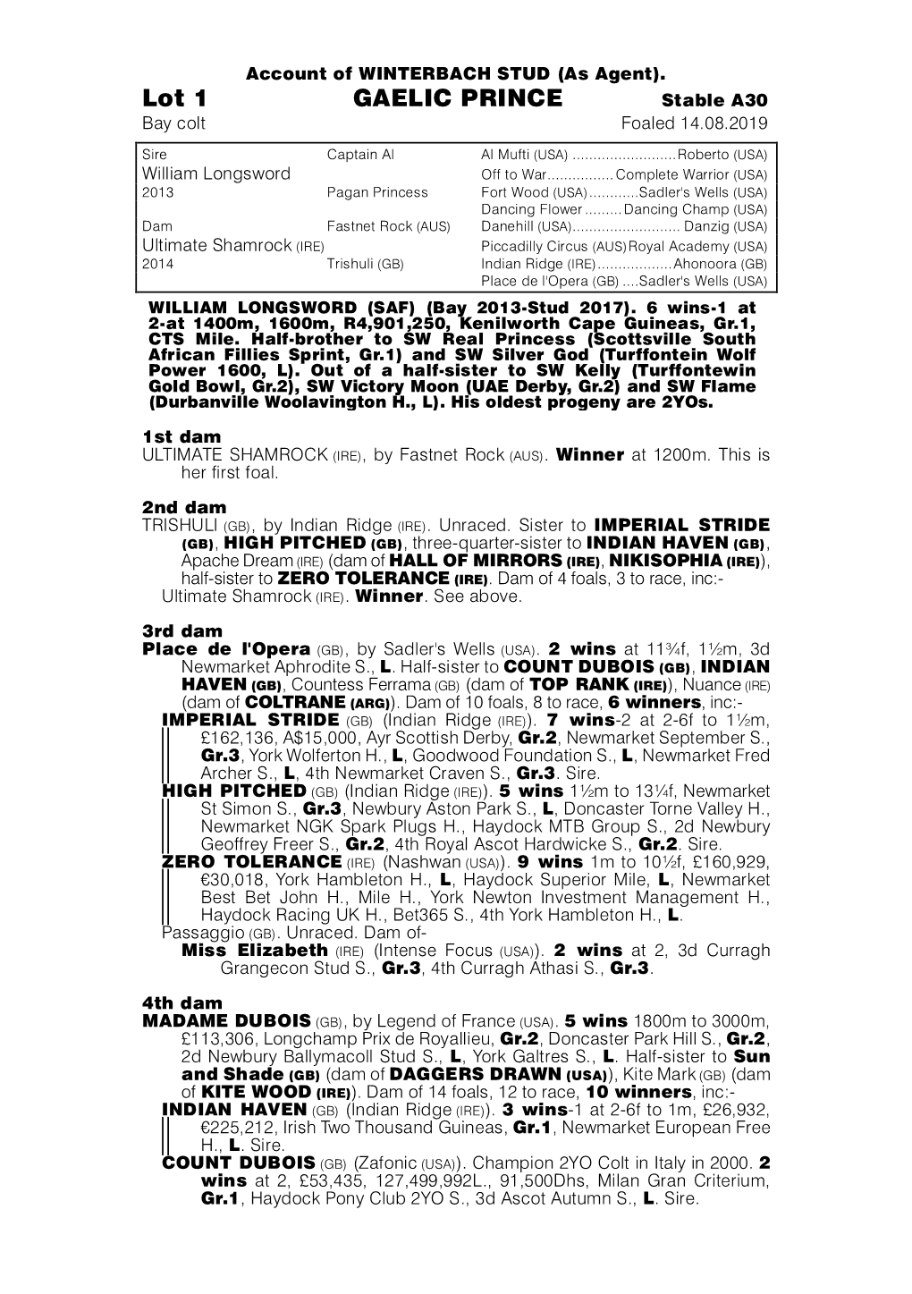 Lot 1 GAELIC PRINCE Stable A30 Bay Colt Foaled 14.08.2019