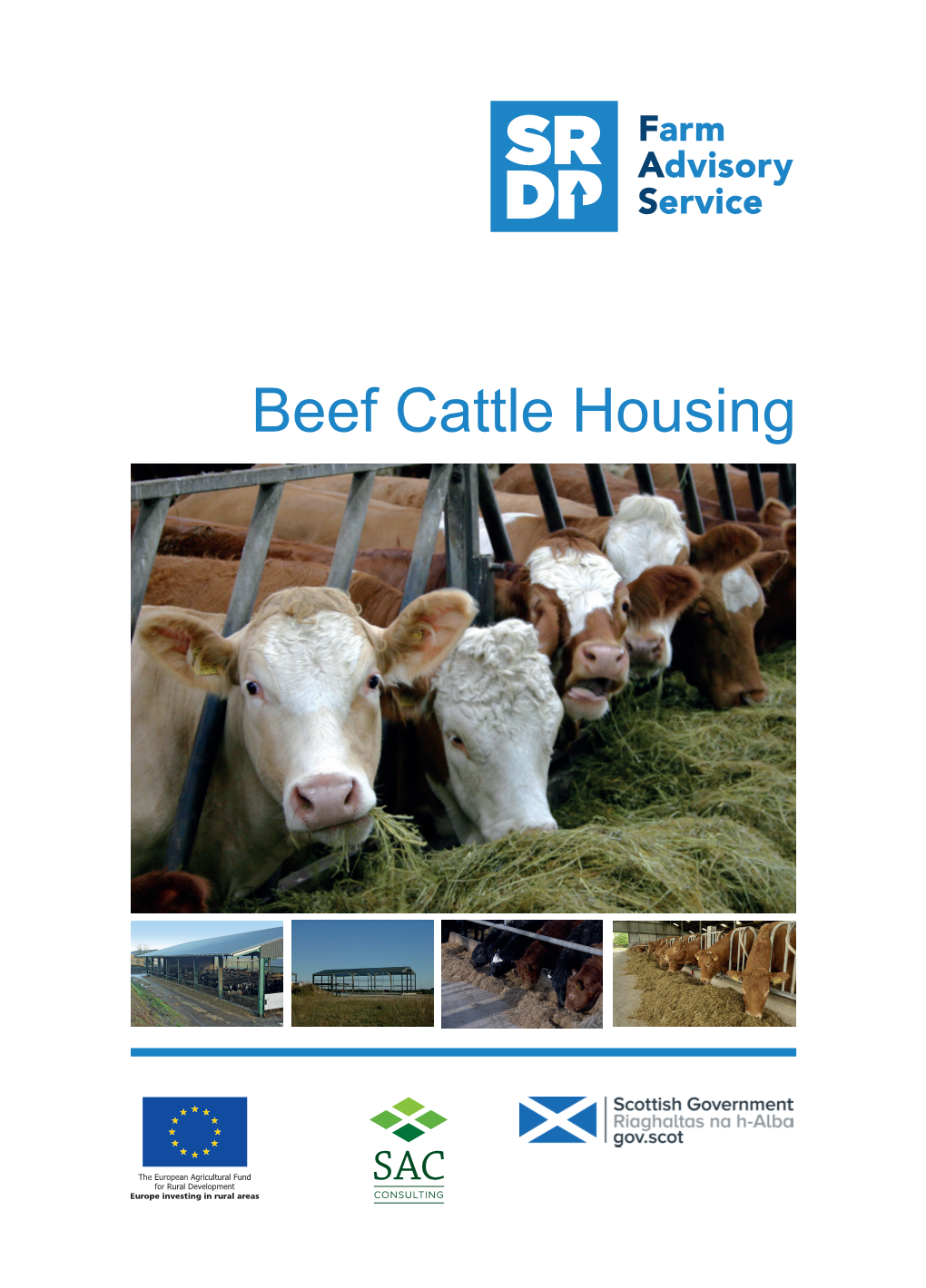 Beef Cattle Housing