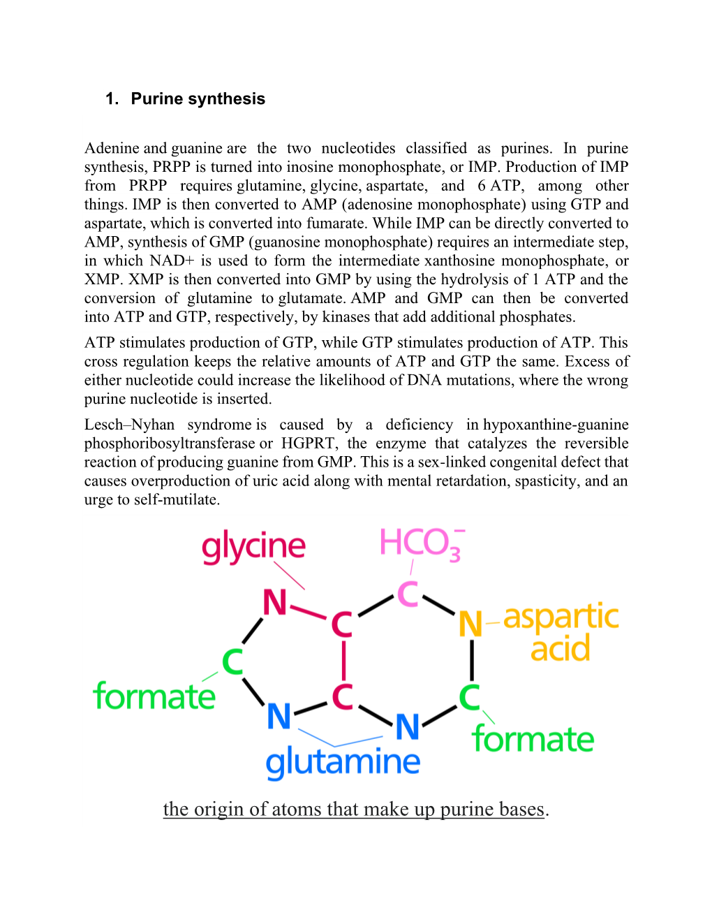 The Origin of Atoms That Make up Purine Bases