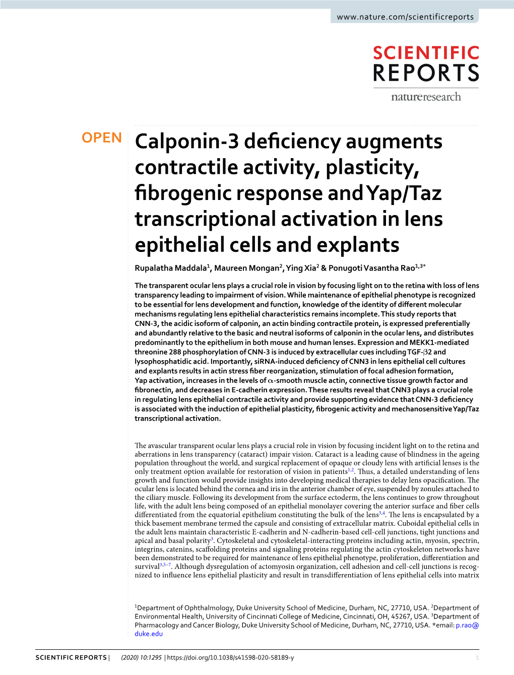 Calponin-3 Deficiency Augments Contractile Activity, Plasticity