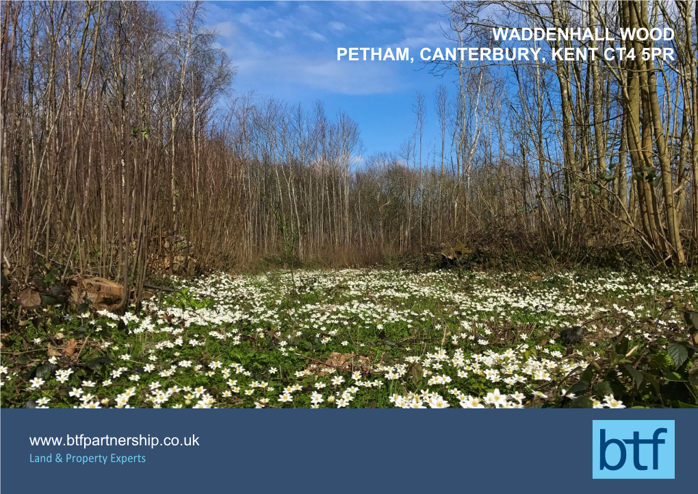 Waddenhall Wood Petham, Canterbury, Kent Ct4 5Pr