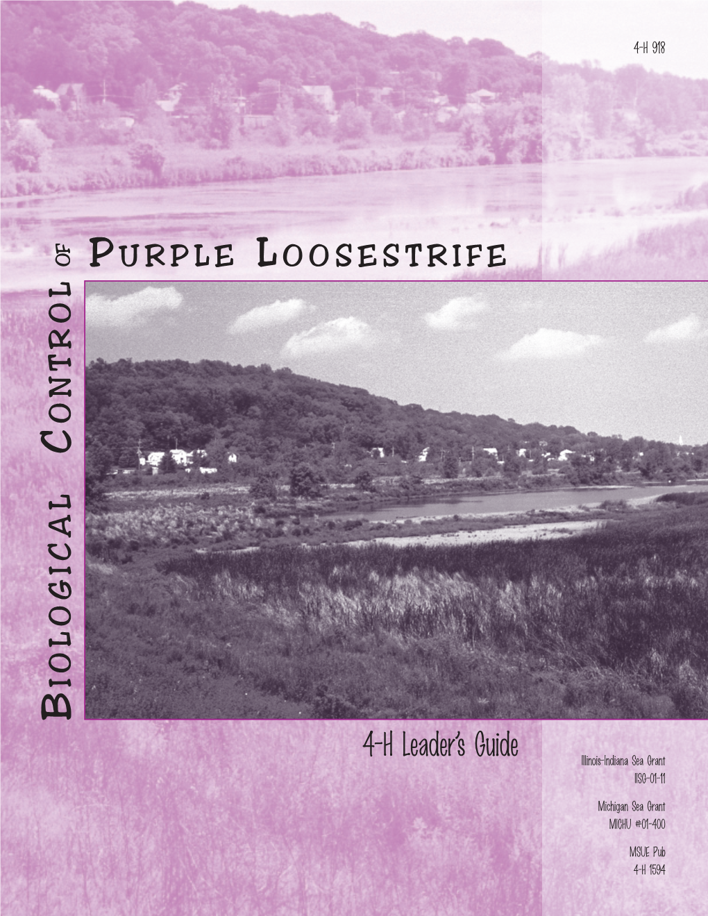 Biological Control of Purple Loosestrife 4-H Leaders Guide
