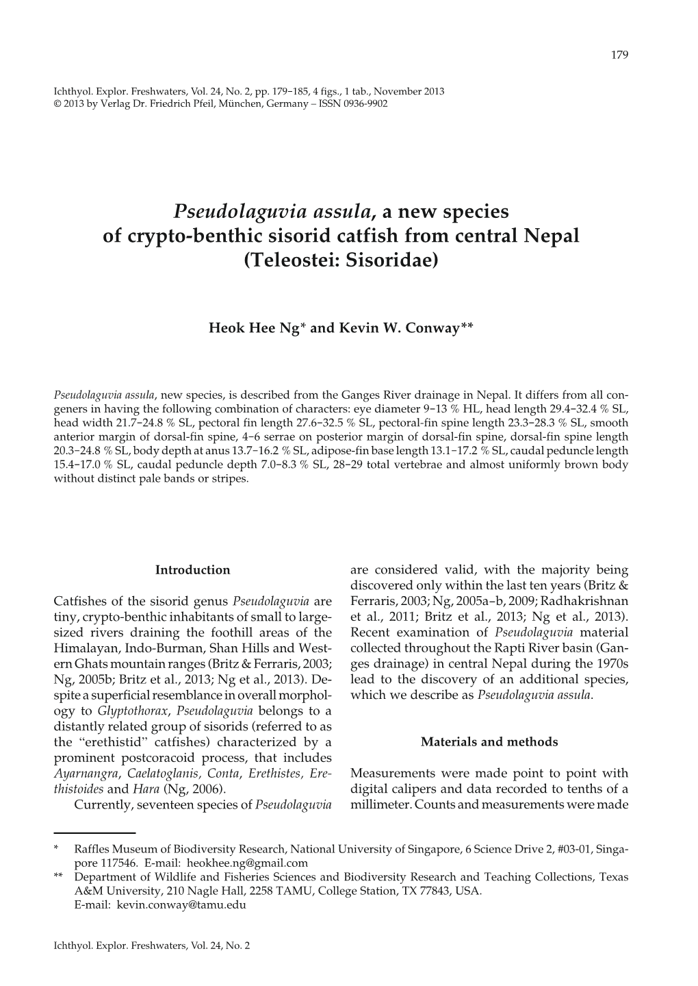 Pseudolaguvia Assula, a New Species of Crypto-Benthic Sisorid Catfish from Central Nepal (Teleostei: Sisoridae)