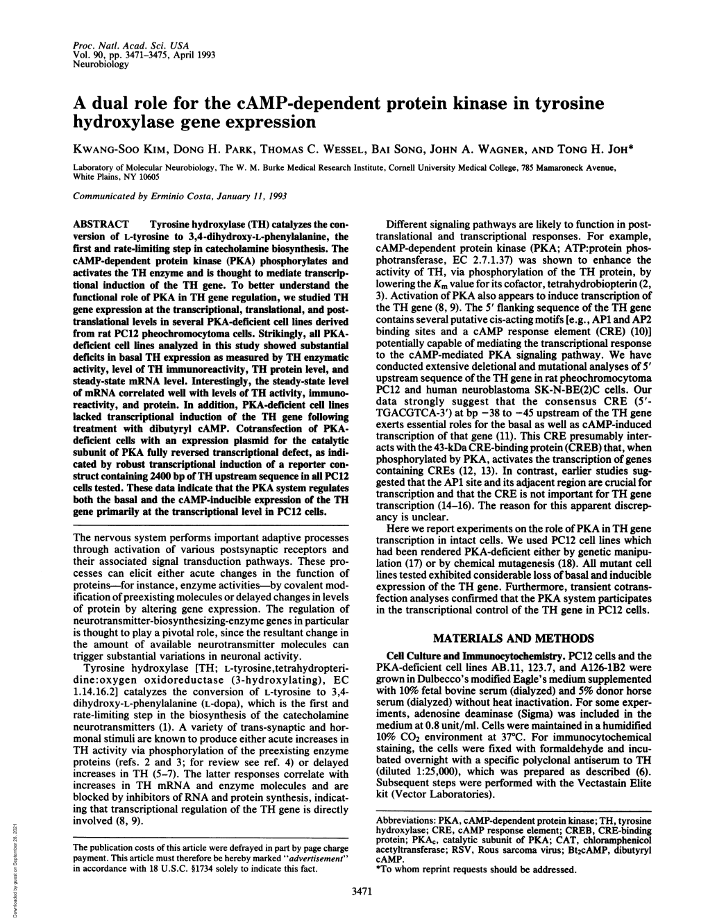 A Dual Role for the Camp-Dependent Protein Kinase in Tyrosine Hydroxylase Gene Expression KWANG-SOO KIM, DONG H