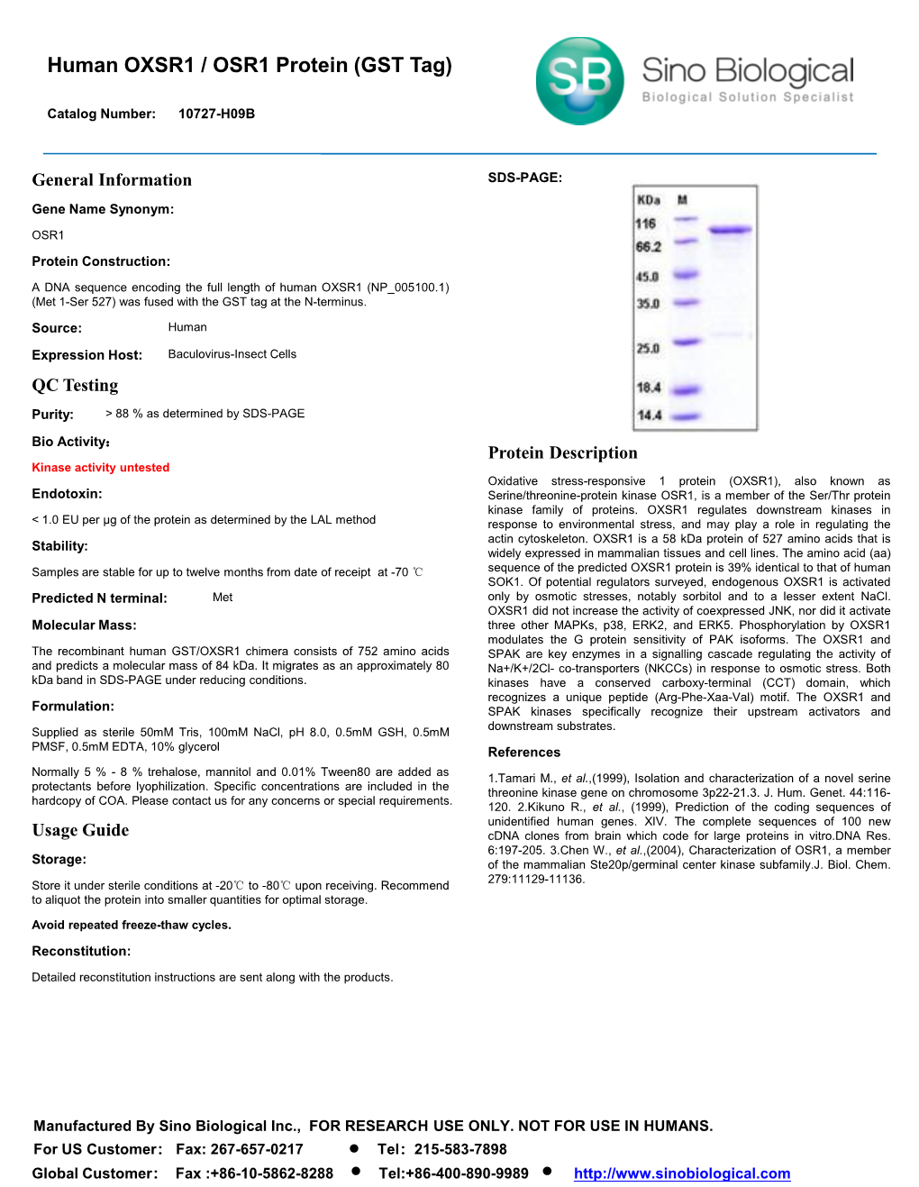 Human OXSR1 / OSR1 Protein (GST Tag)