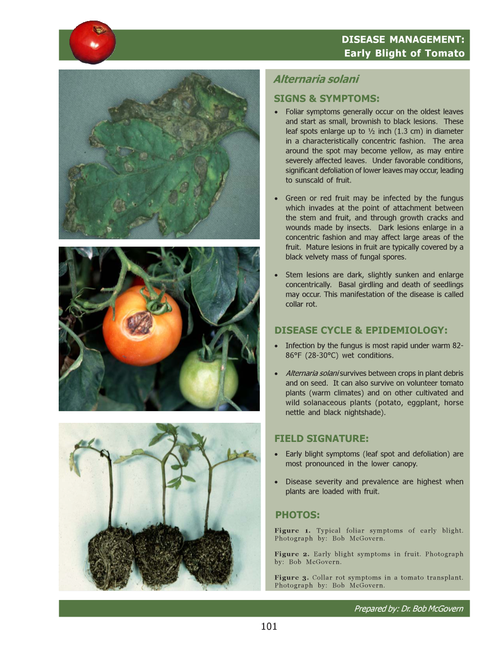 Alternaria Solani SIGNS & SYMPTOMS: • Foliar Symptoms Generally Occur on the Oldest Leaves and Start As Small, Brownish to Black Lesions