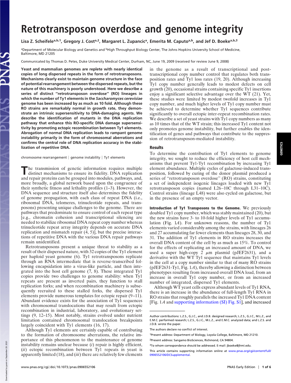 Retrotransposon Overdose and Genome Integrity