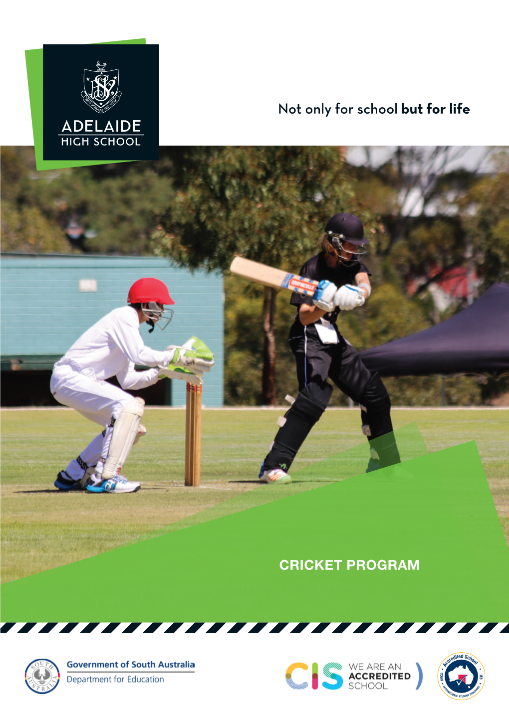 Cricket Program