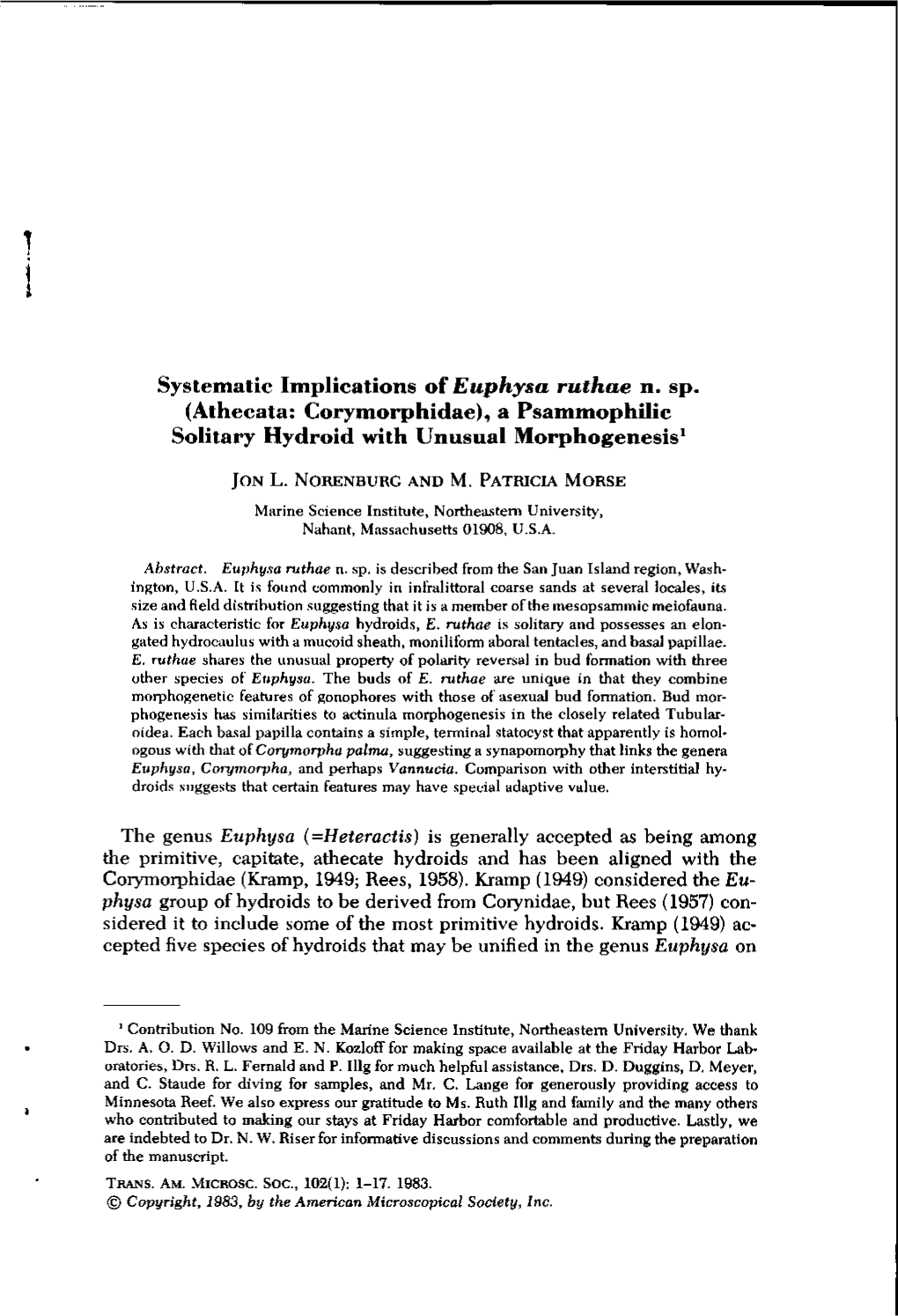 Systematic Implications of Euphysa Ruthae N. Sp. (Athecata: Corymorphidae), a Psammophilic Solitary Hydroid with Unusual Morphogenesis1