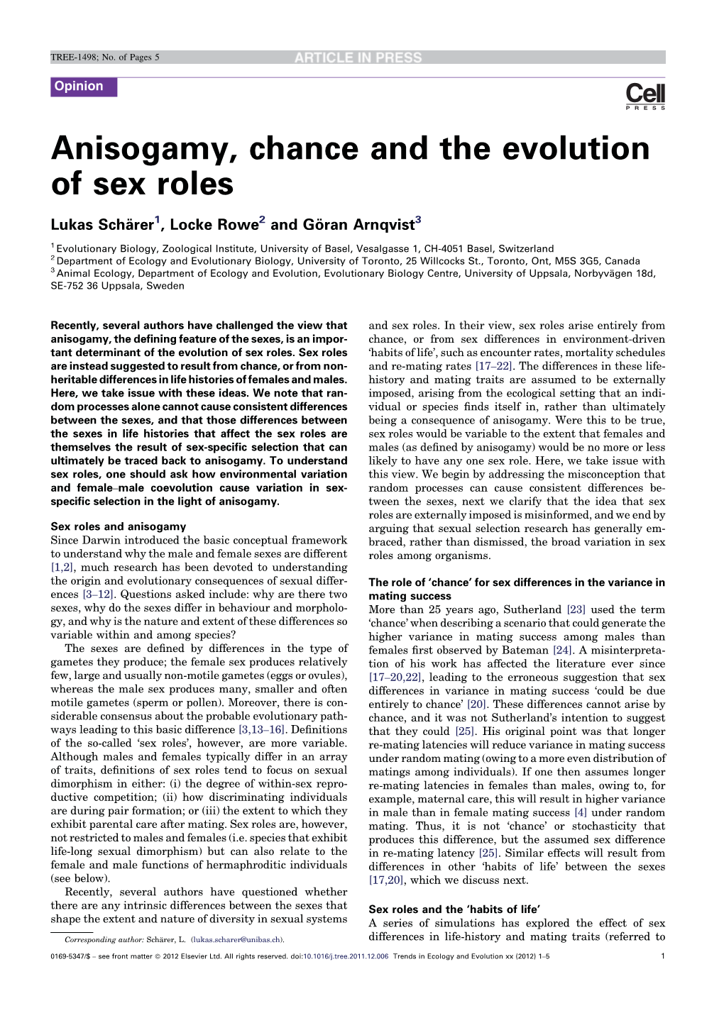 Anisogamy, Chance and the Evolution of Sex Roles