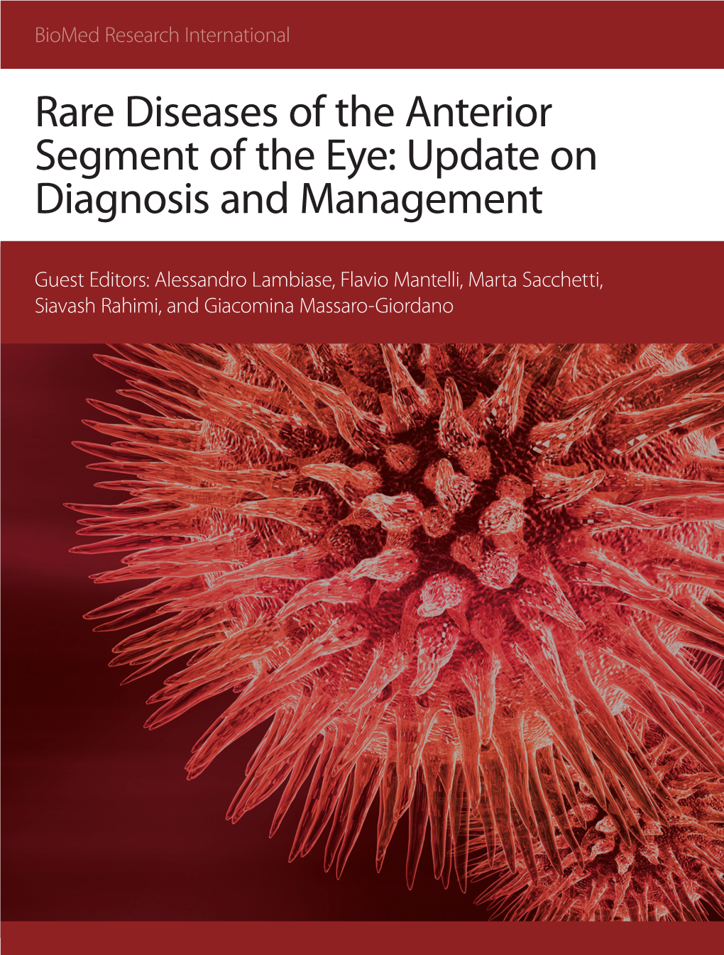 Rare Diseases of the Anterior Segment of the Eye: Update on Diagnosis and Management