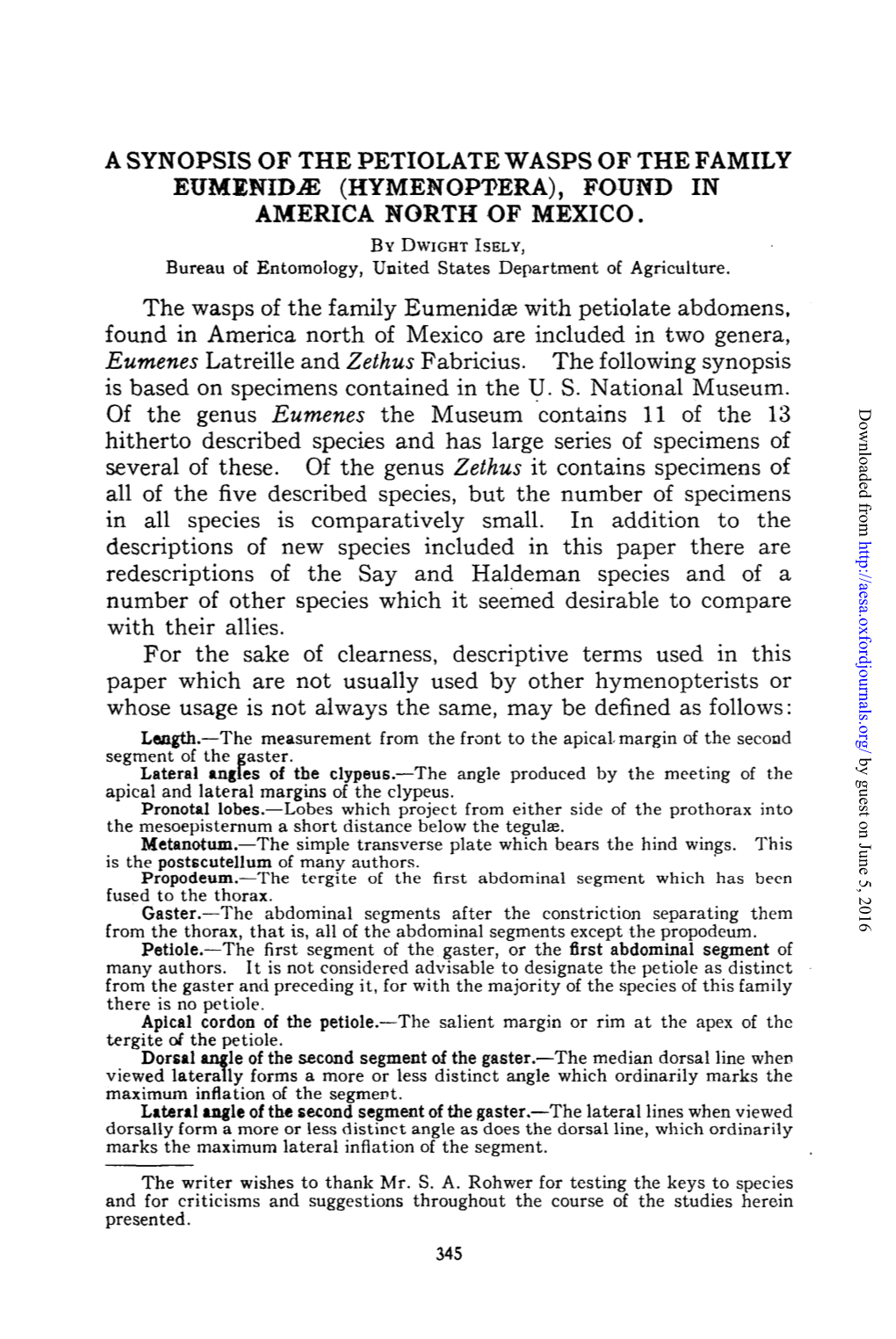 A SYNOPSIS of the PETIOLATE WASPS of the FAMILY Eumlnidie (HYMENOPTERA), FOUND in AMERICA NORTH of MEXICO