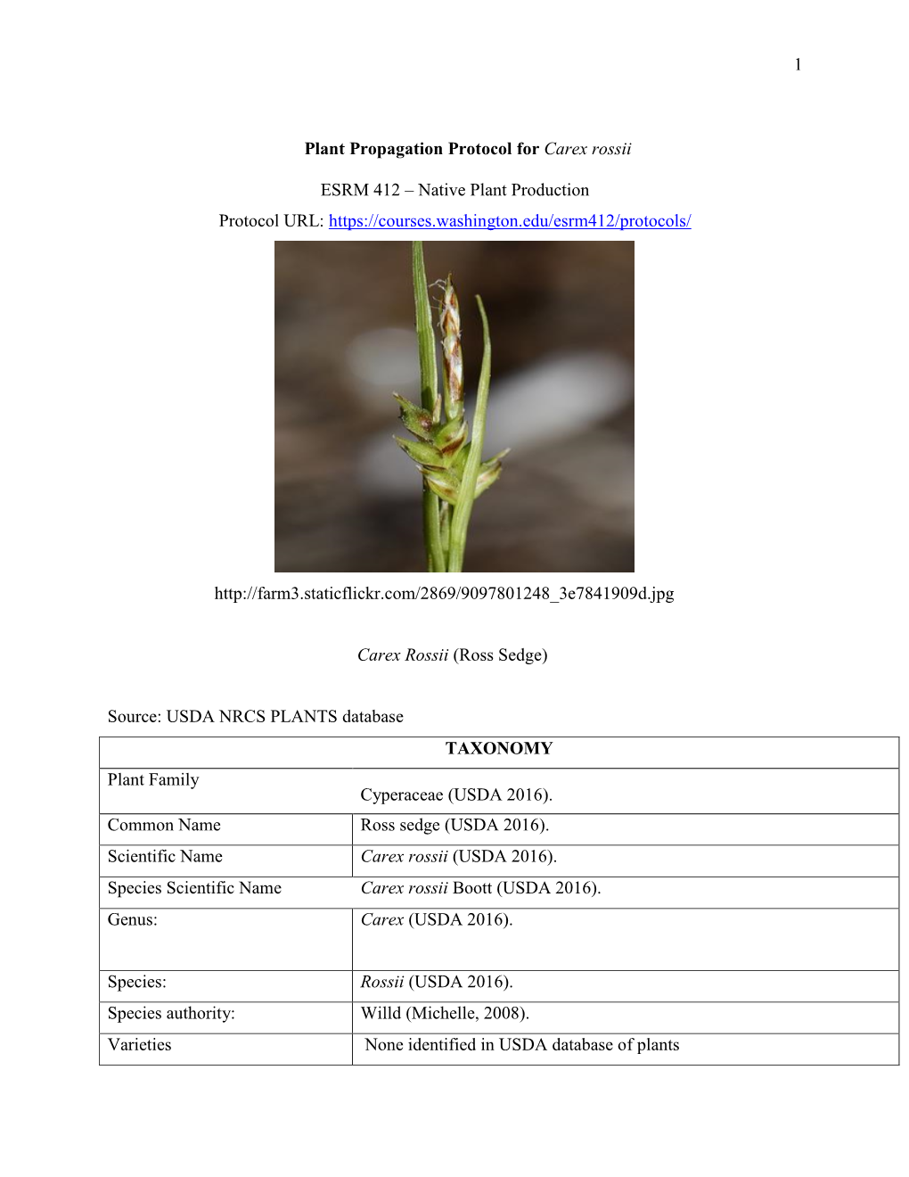1 Plant Propagation Protocol for Carex Rossii ESRM 412 – Native Plant Production Protocol URL