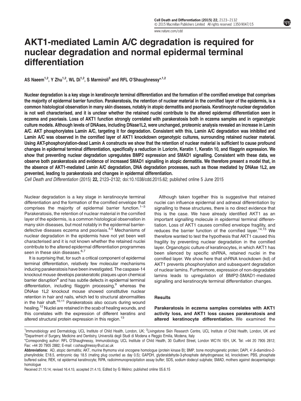 AKT1-Mediated Lamin A&Sol;C Degradation Is Required for Nuclear