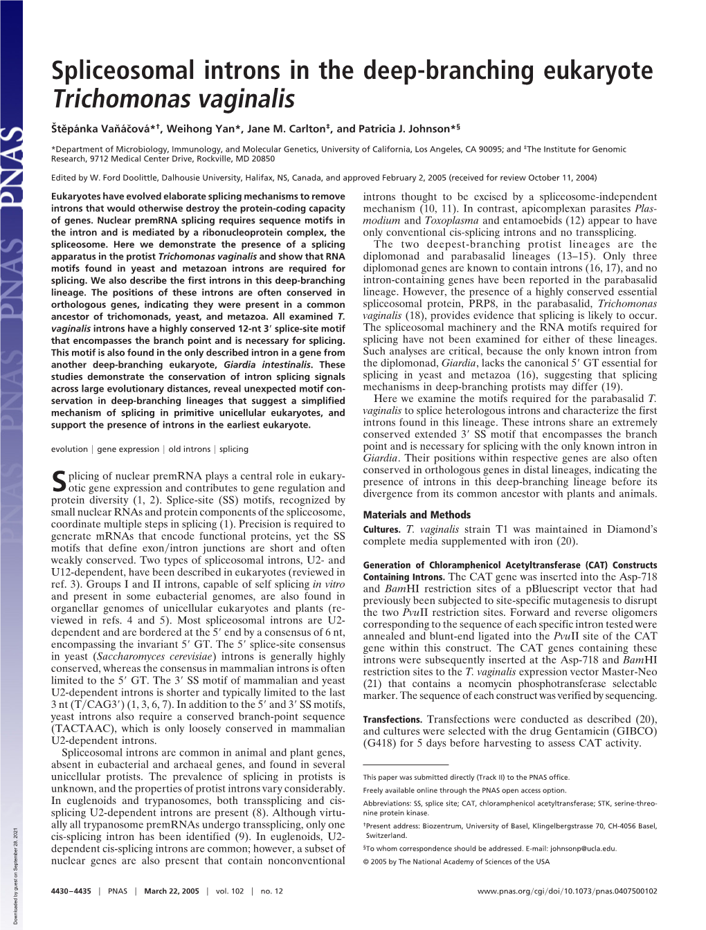 Spliceosomal Introns in the Deep-Branching Eukaryote Trichomonas Vaginalis