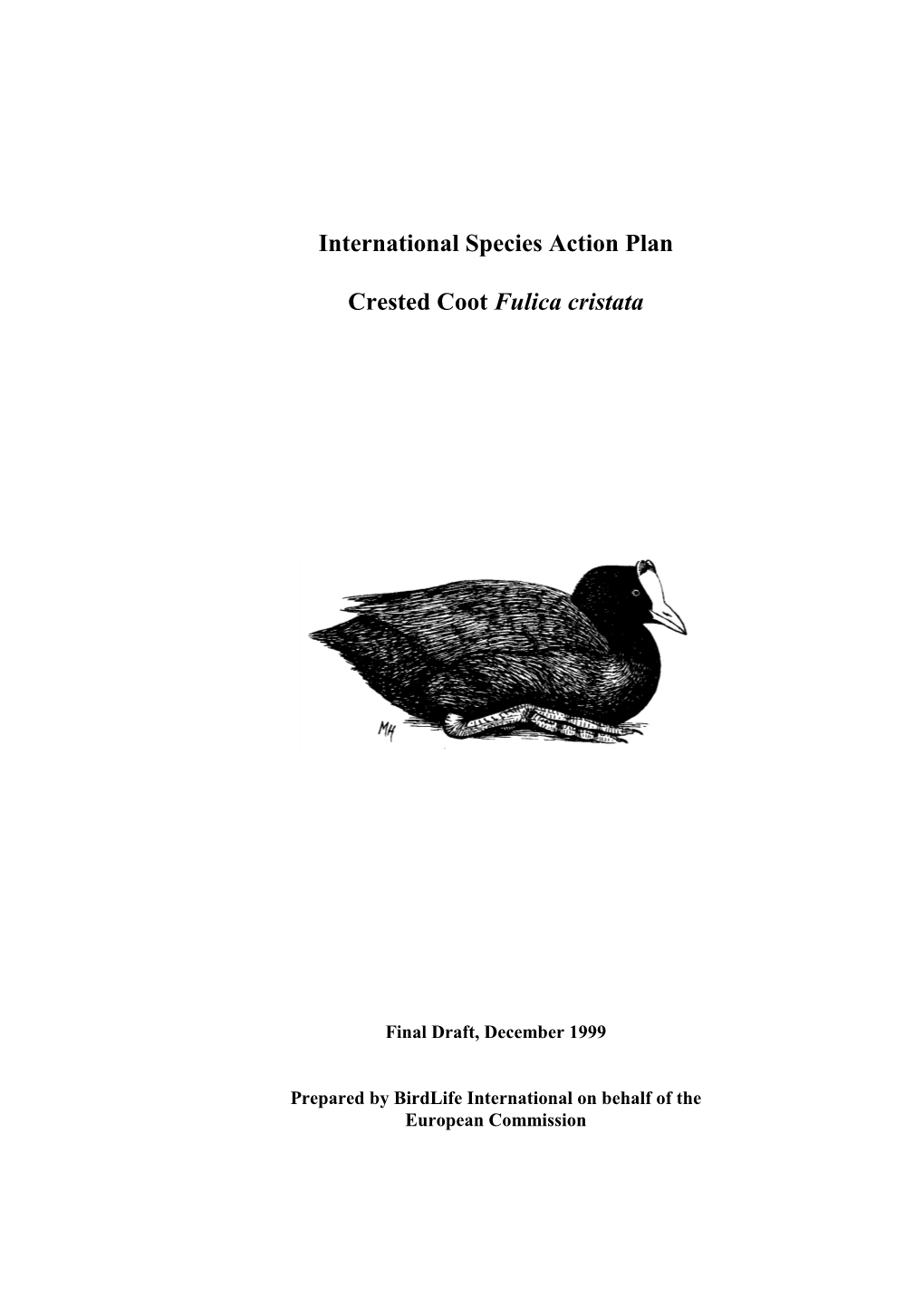 International Species Action Plan Crested Coot Fulica Cristata