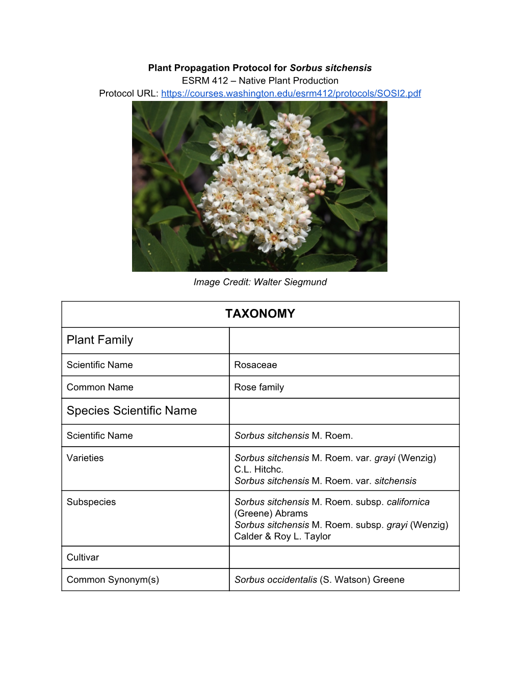 TAXONOMY Plant Family Species Scientific Name