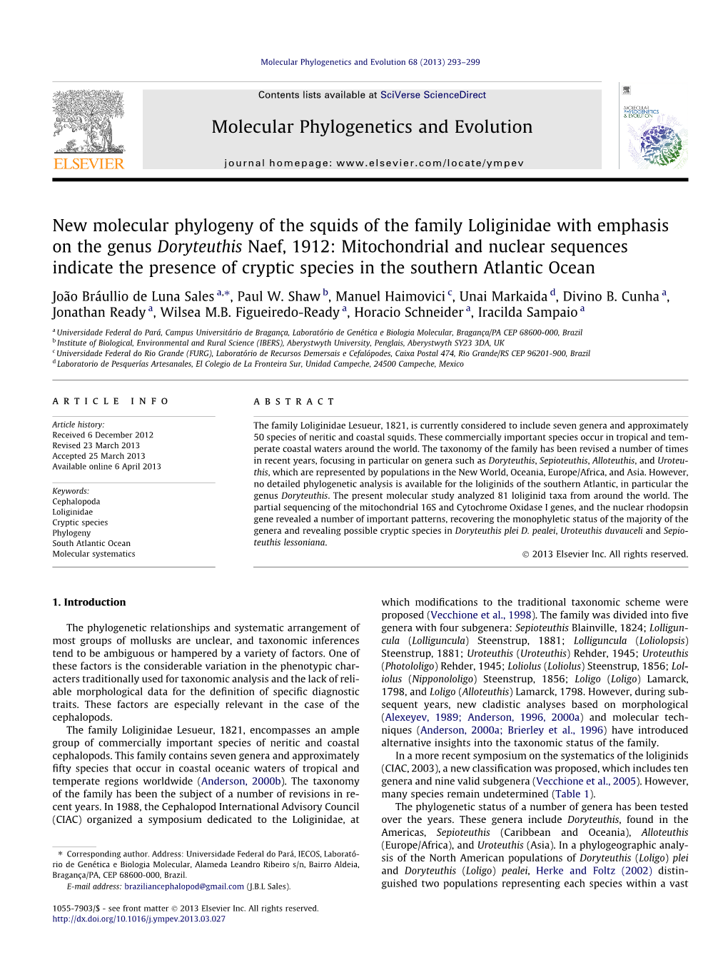 New Molecular Phylogeny of the Squids of the Family